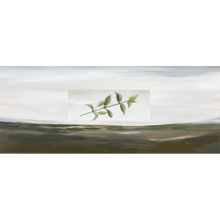 Tabatha Forbes 'Hangehange'