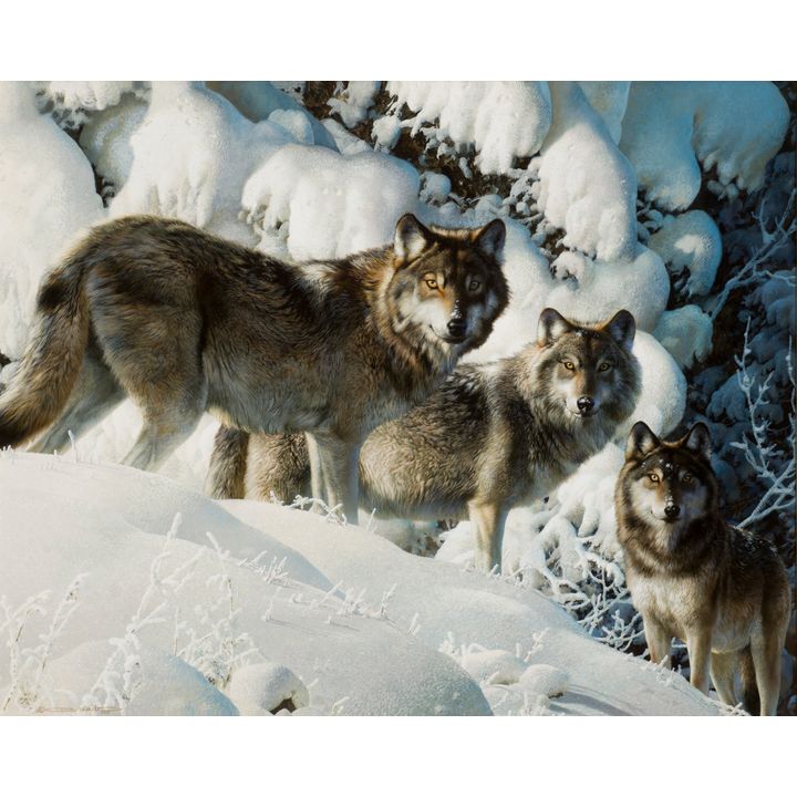 Carl Brenders (1937- ), Long-Distance Hunters