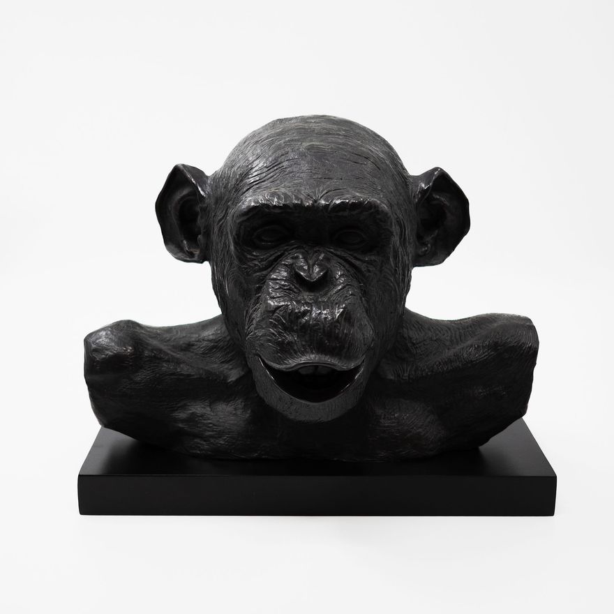 Lisa Roet 'Astro Chimp'