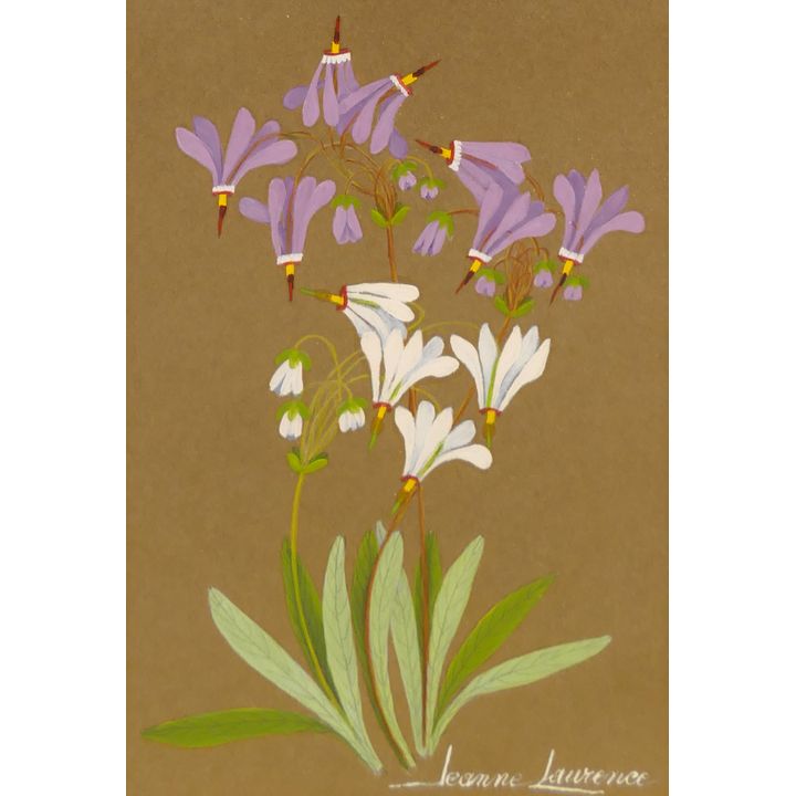 Jeanne Laurence ''Purple Shooting Star'' Oil on Paper Framed 15''x11''