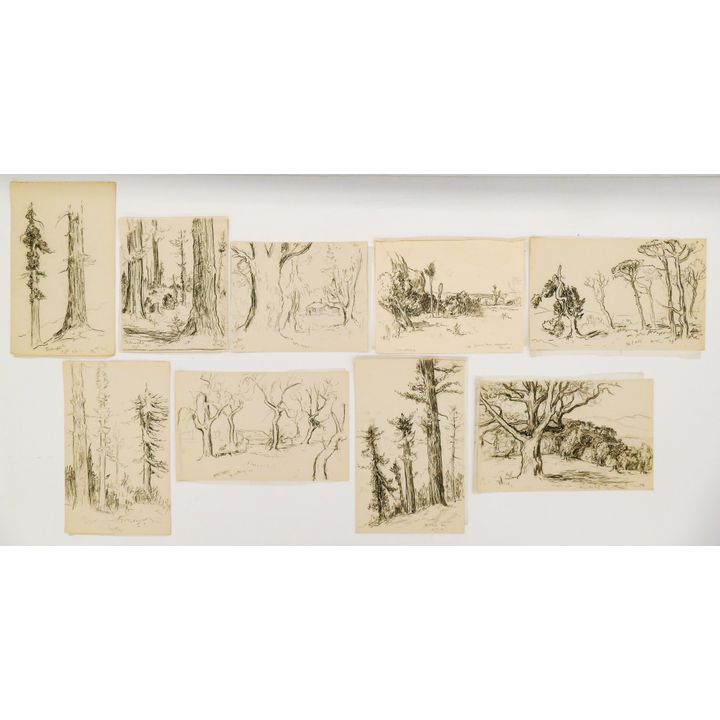 9pc Melville Wire Landscape Charcoal Drawings 12''x20'' Largest