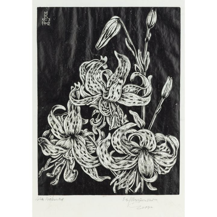 Stefan Mrożewski | Lilia królewska, 1942 r.