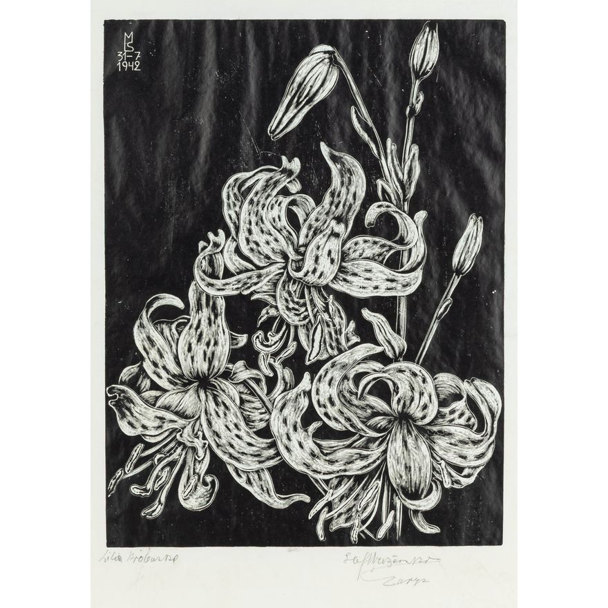 Stefan Mrożewski | Lilia królewska, 1942 r.