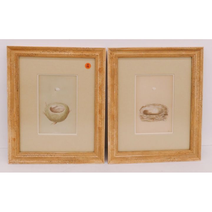 Pair Bird Nest Engravings Framed- 15x12''