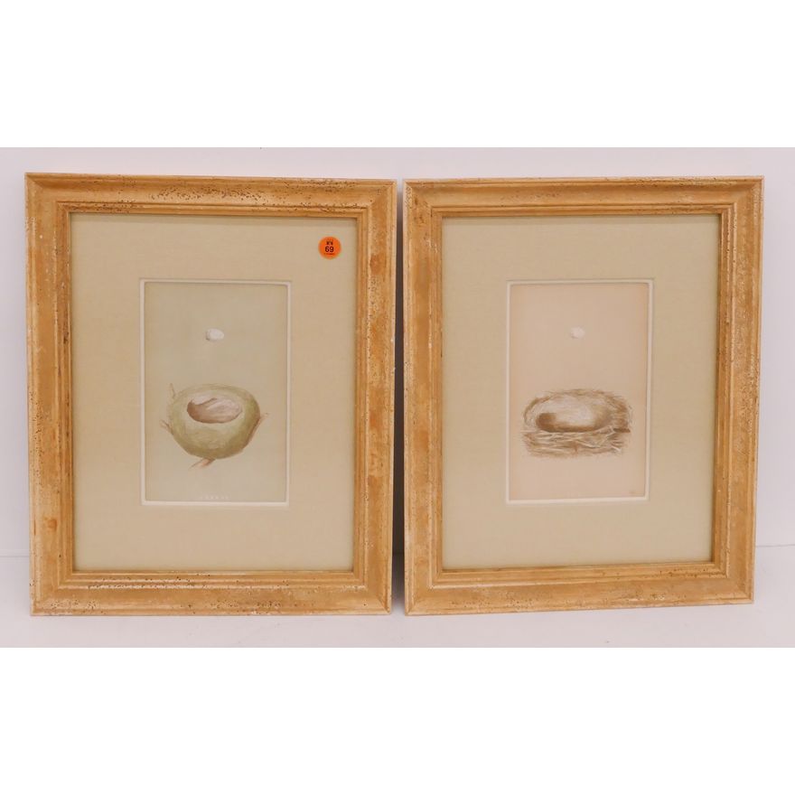 Pair Bird Nest Engravings Framed- 15x12''