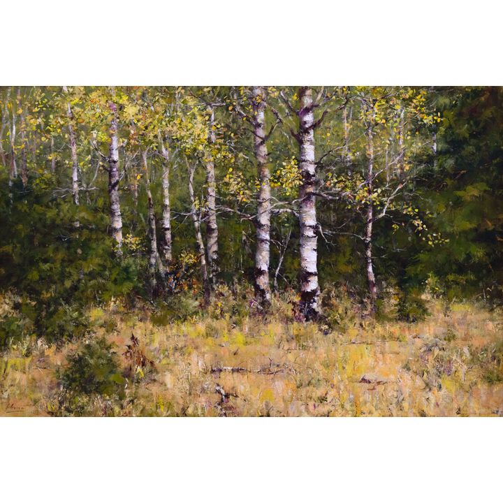 Robert Johnson Cucharra Valley Aspens