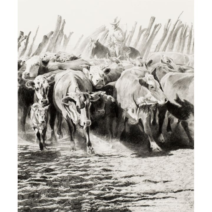 Robert "Shoofly" Shufelt (1935- ), The Lobo Corral