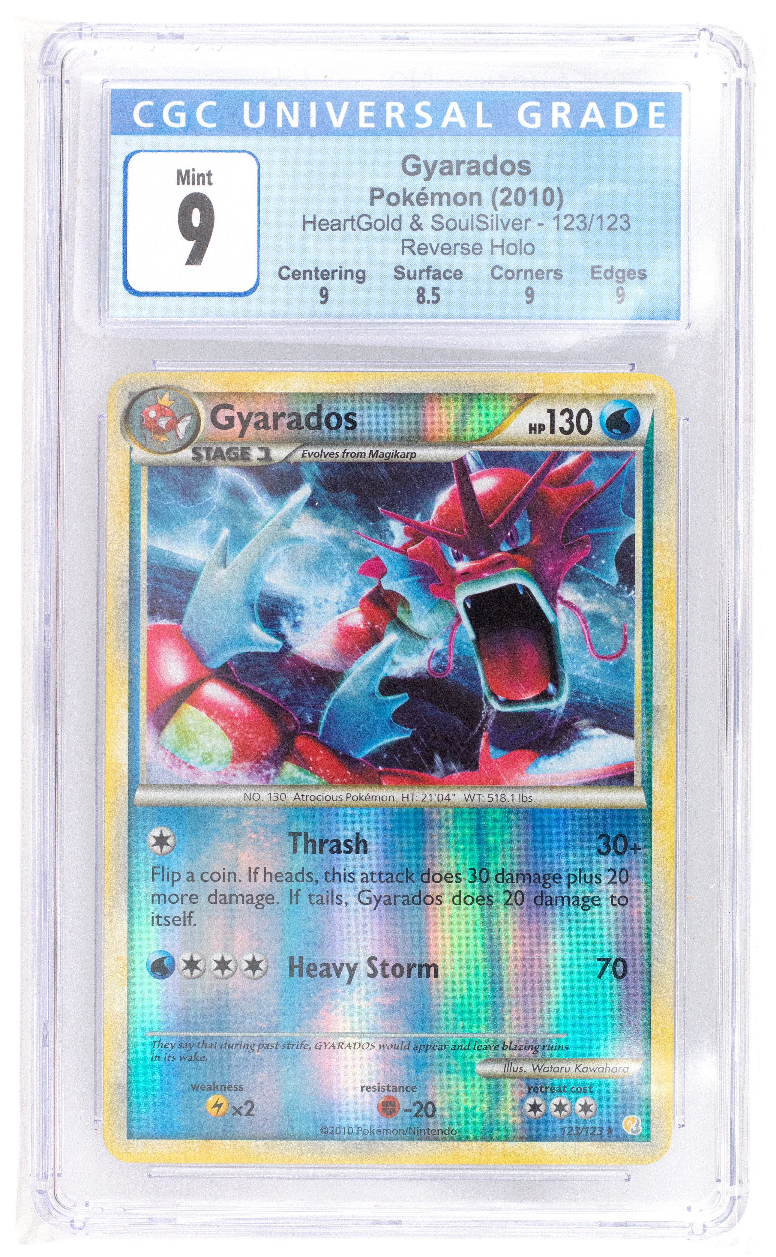 Pok�mon, Gyarados, 2010, 9, Mint