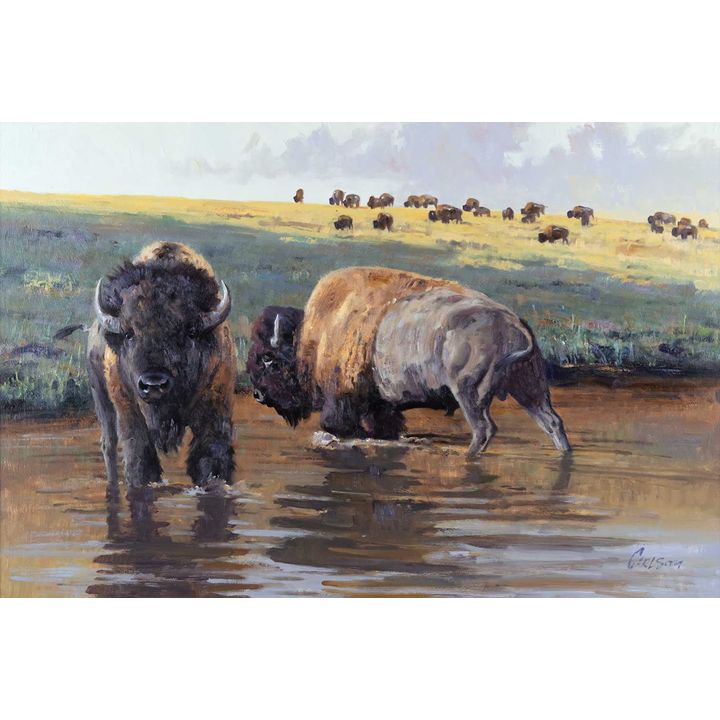 Ken Carlson (1937- ), Waterhole Rulers