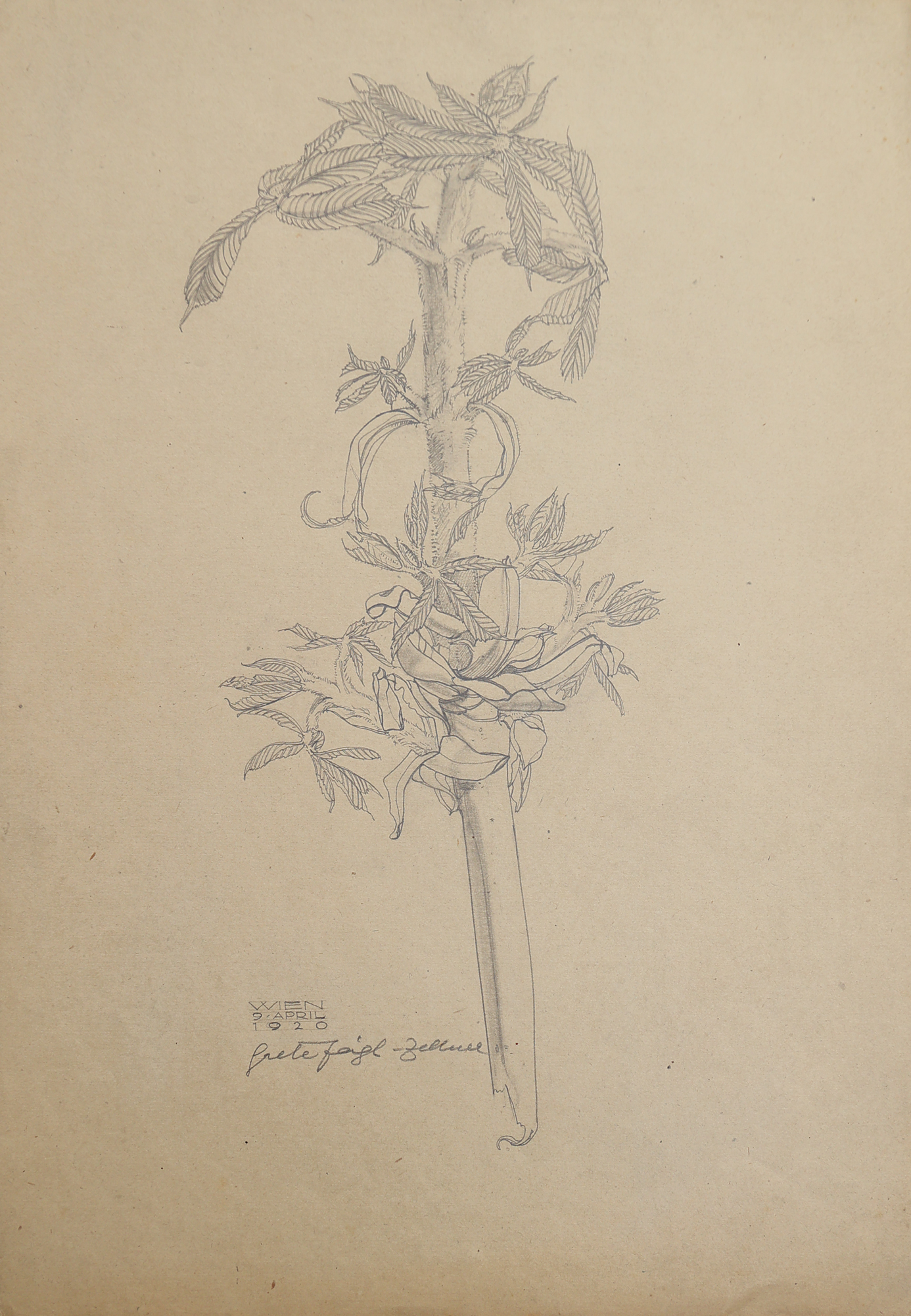 Image cover