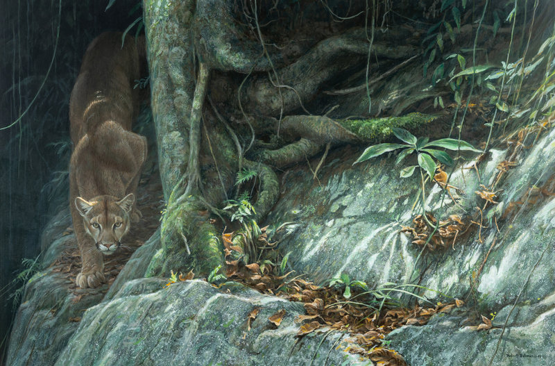 Robert Bateman
(Canadian, b. 1930)
Path of the Panther, 1994