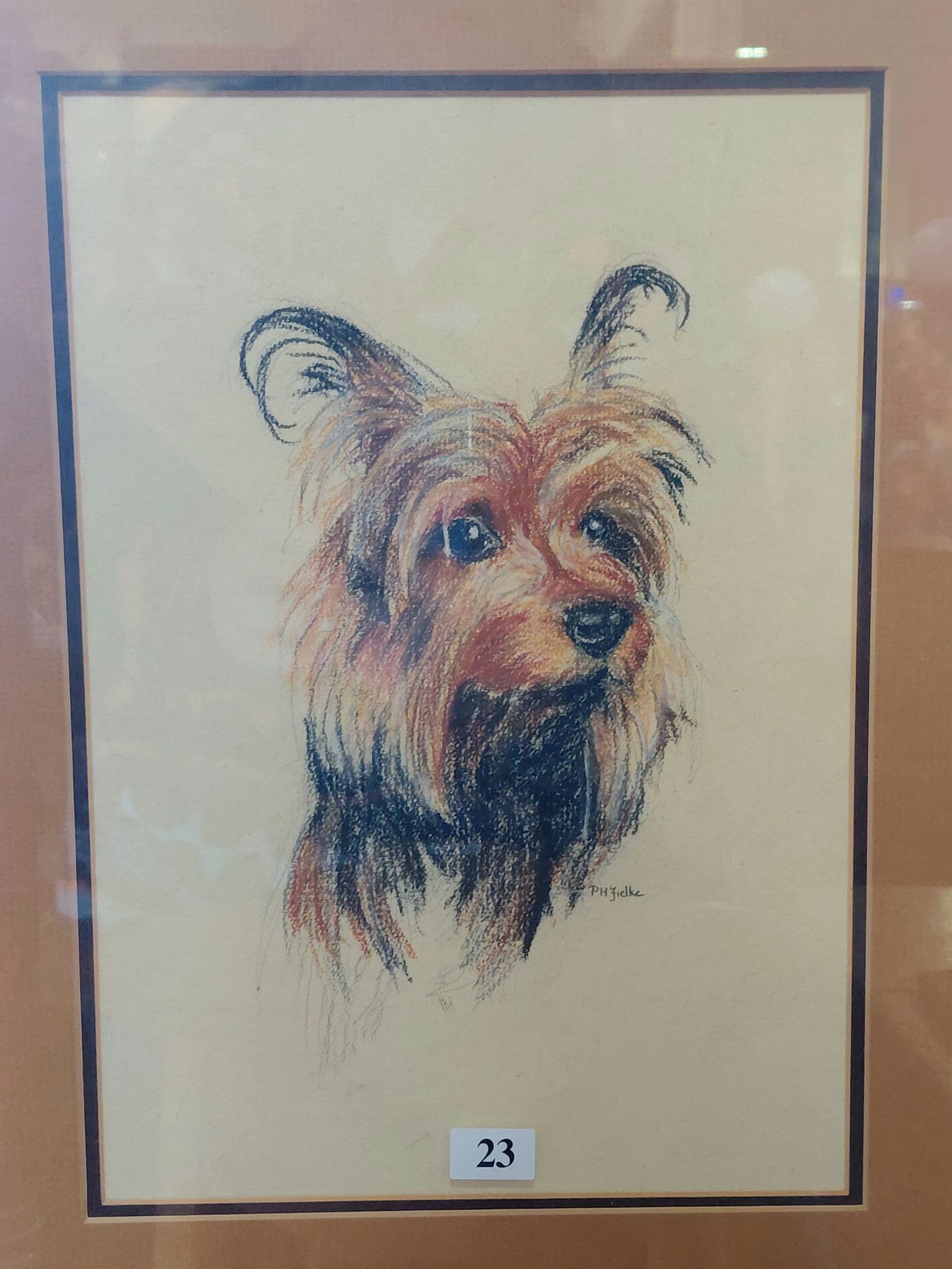23 · WATER COLOUR OF SILKY TERRIER BY F.H. FIELKE