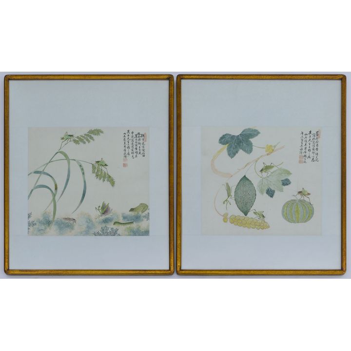 2pc Yang Qilian Chinese ''Insects'' Album Paintings
