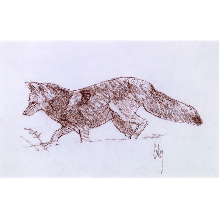 Bob Kuhn (1920-2007), Fox