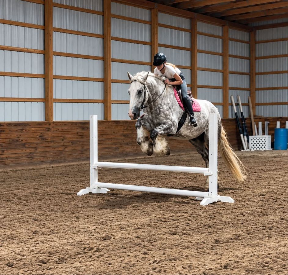 GOOSE | Horse Bid, LLC