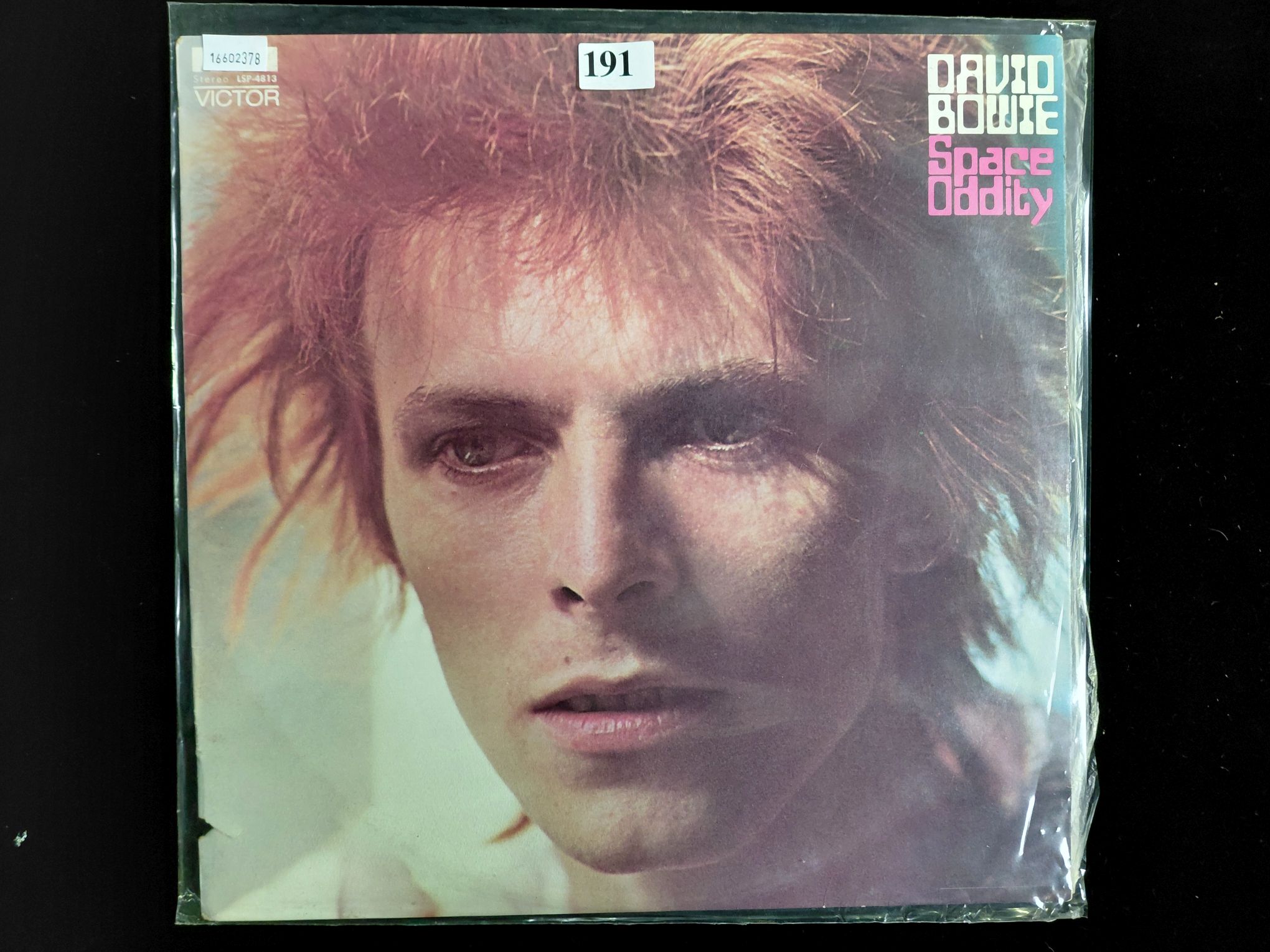 David Bowie