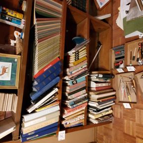3 shelves of books, car manuals, art resources