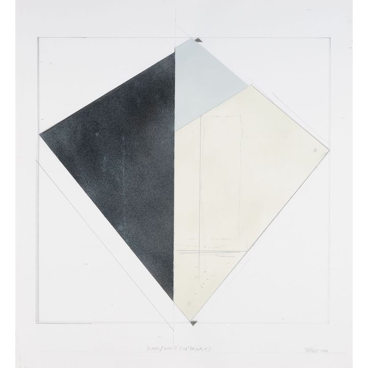 James Ross 'Black/White (Interior A)'