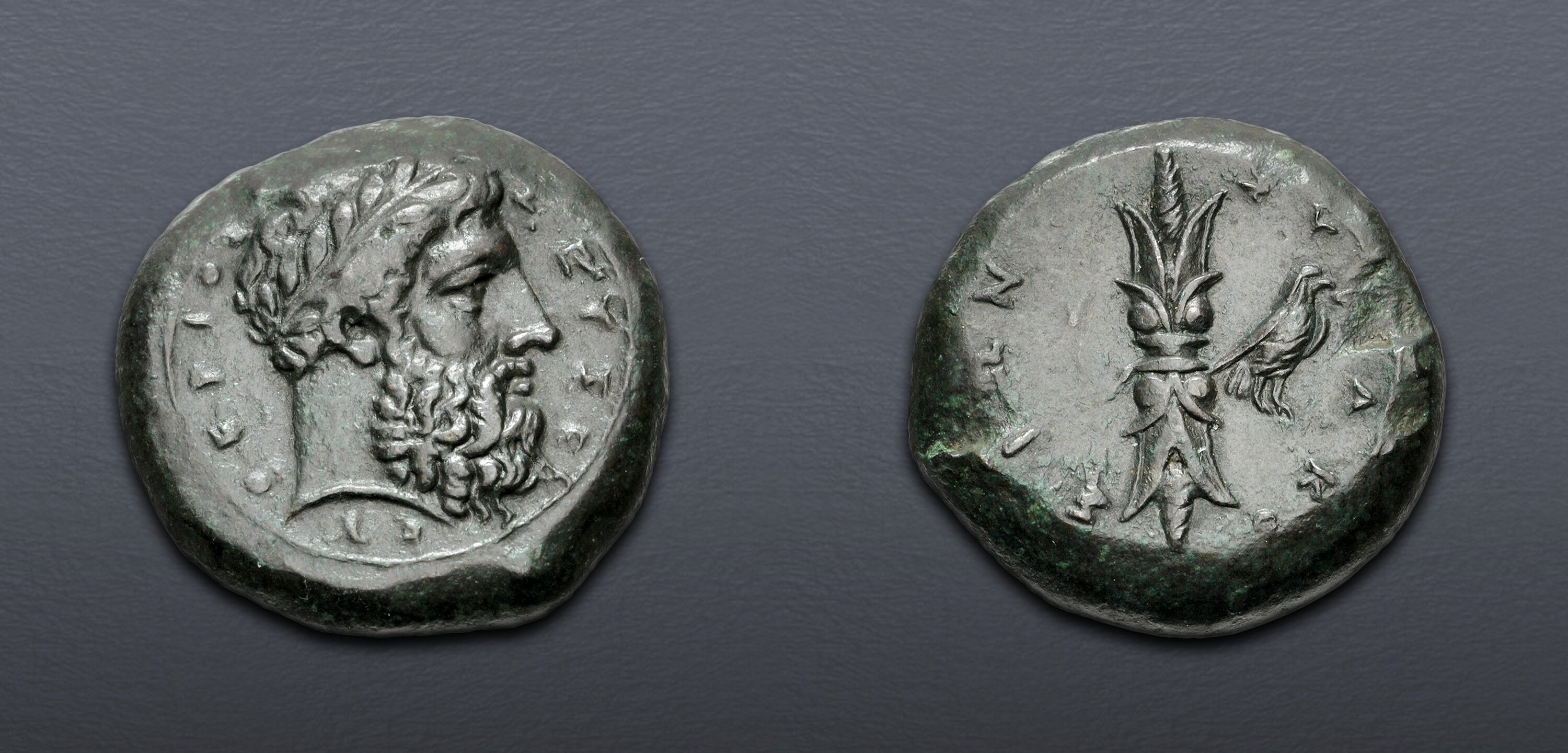 SICILY, Syracuse. Timoleon and the Third Democracy. 344-317 BC. Æ ...