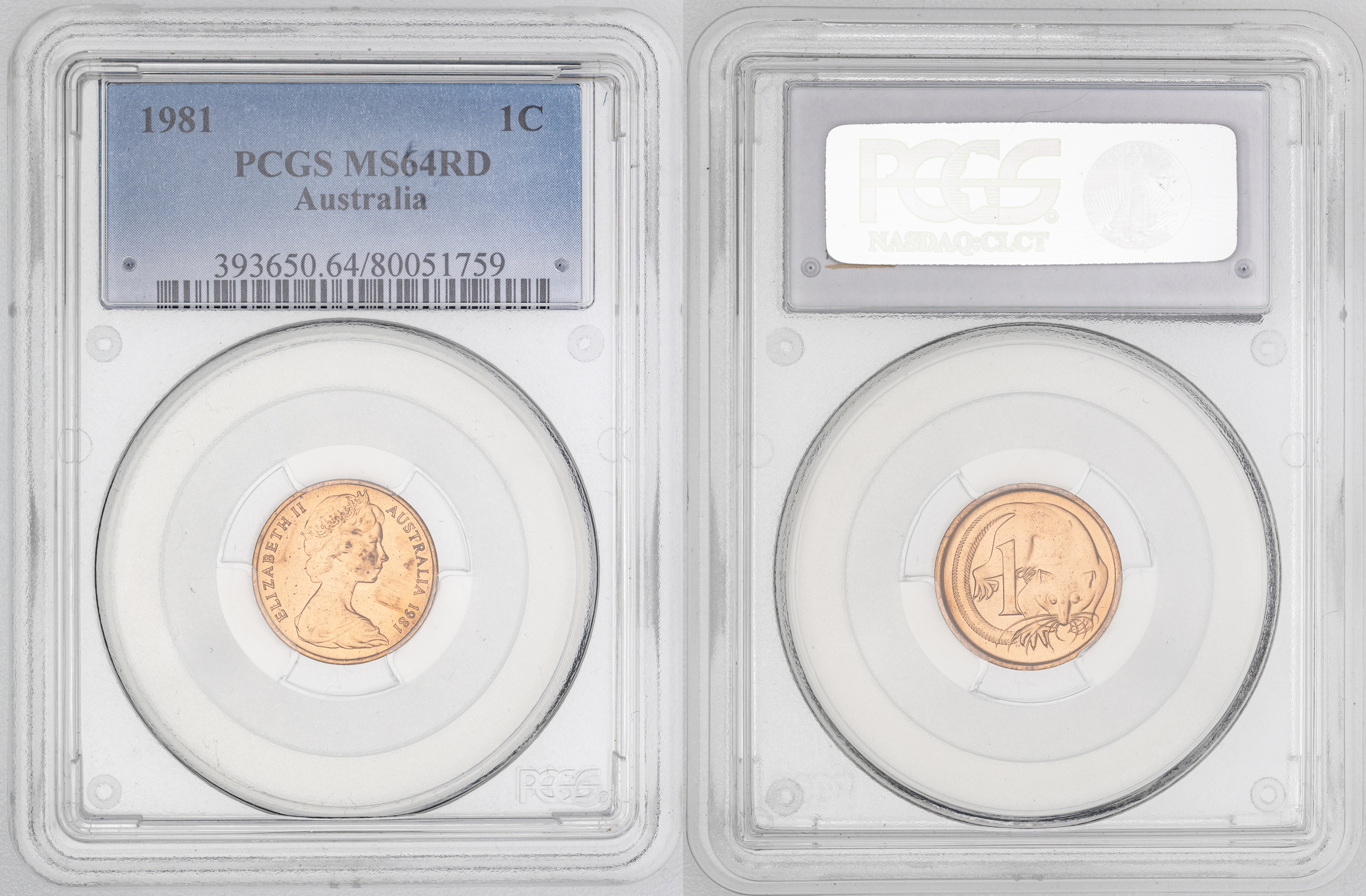 Elizabeth II, , One Cent, 1981, PCGS MS64RD
