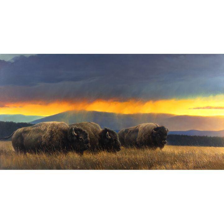 Nancy Glazier (1947- ), Montana Skies