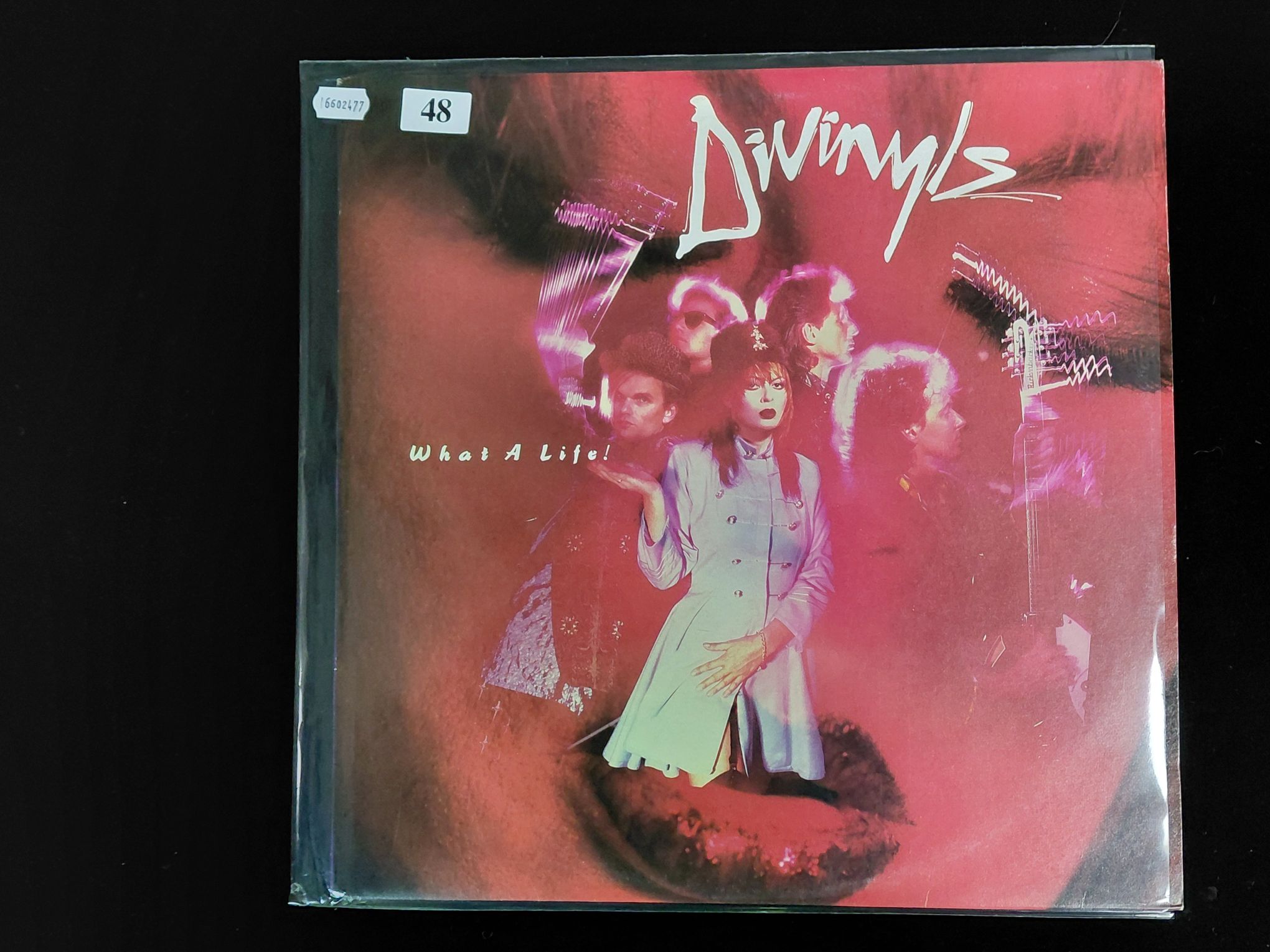 Divinyls