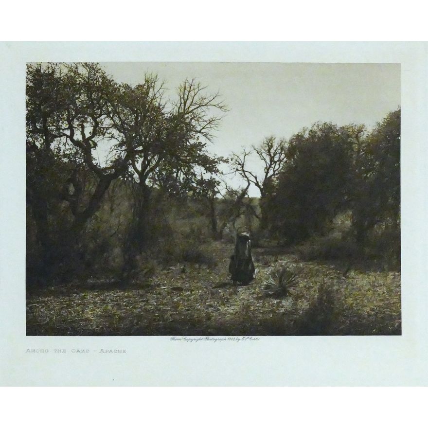 Antique Edward Curtis ''Among the Oaks - Apache'' Photogravure 9.5''x12.5'' Sheet