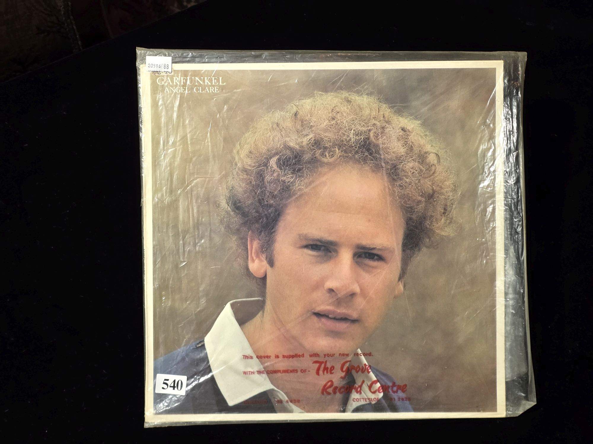 Art Garfunkel