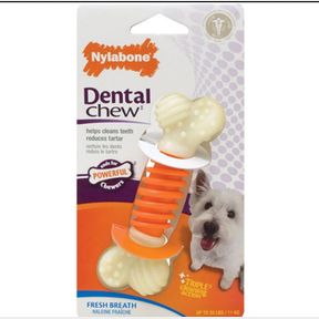 Nylabone Dental Chew Bone - Orange / White - L -- 51743/2491 SN B3 (S9)