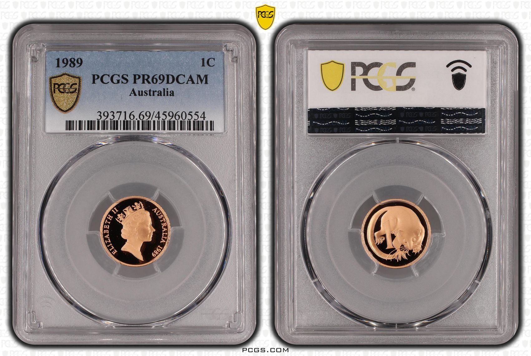 One Cent, 1989, Pcgs Pr69dcam