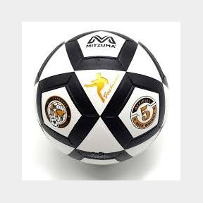 Old Castle Hard Ground Soccer Ball Pump - Size 5 | 51744/388 Barcode 9901046963728