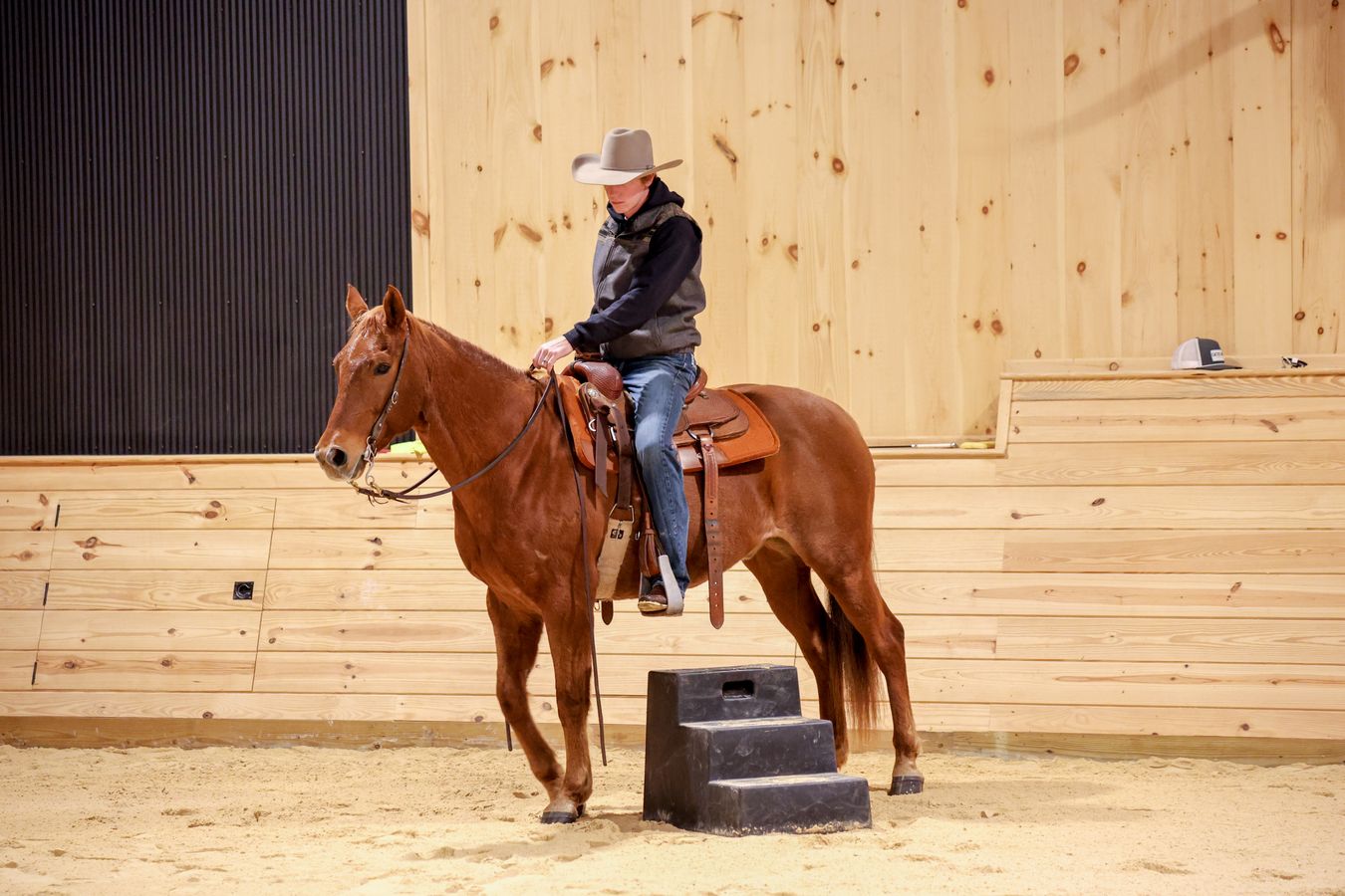 ROAN RANGER *LMR LOOKIN FOR PEP* | Horse Bid, LLC