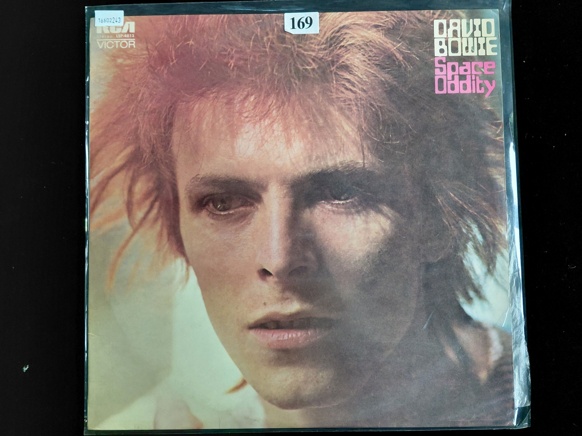 David Bowie