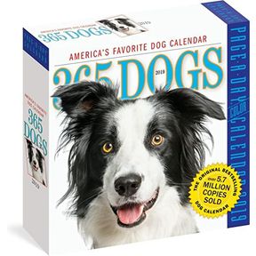 2019 365 Dogs Colour Page-A-Day Calendar some pages torn|