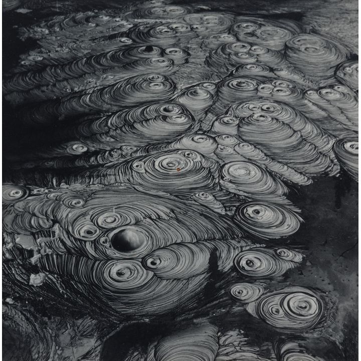 Theo Schoon 'Waiotapu Mud Pool Study'