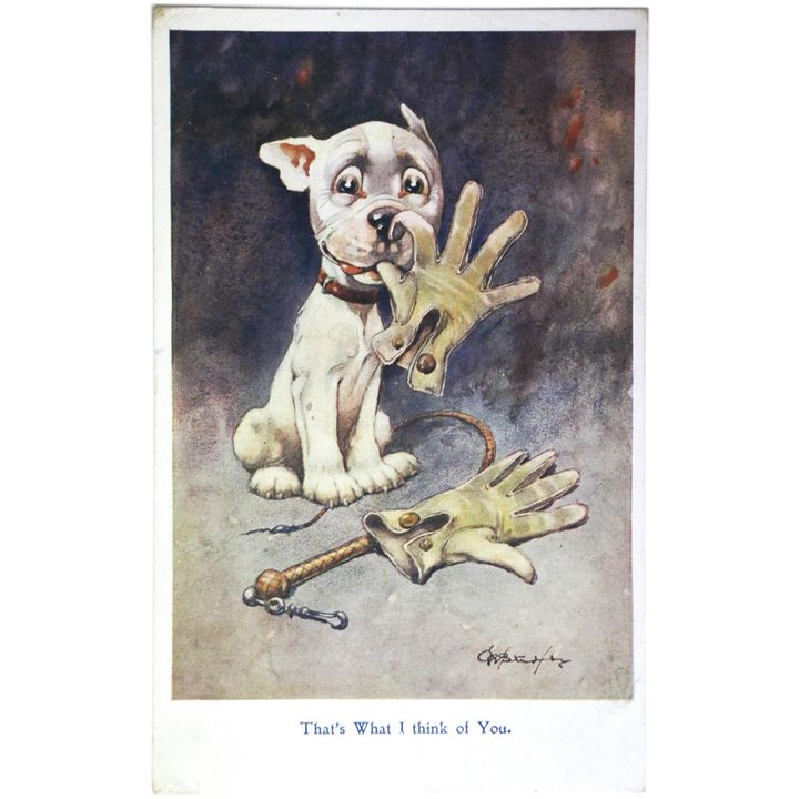 STUDDY, G.E.   - Collection of Big Tree Advertising Postcards 1925-1929.  [plus]