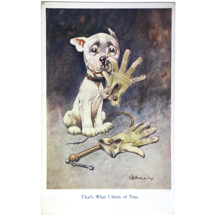 STUDDY, G.E.   - Collection of Big Tree Advertising Postcards 1925-1929.  [plus]