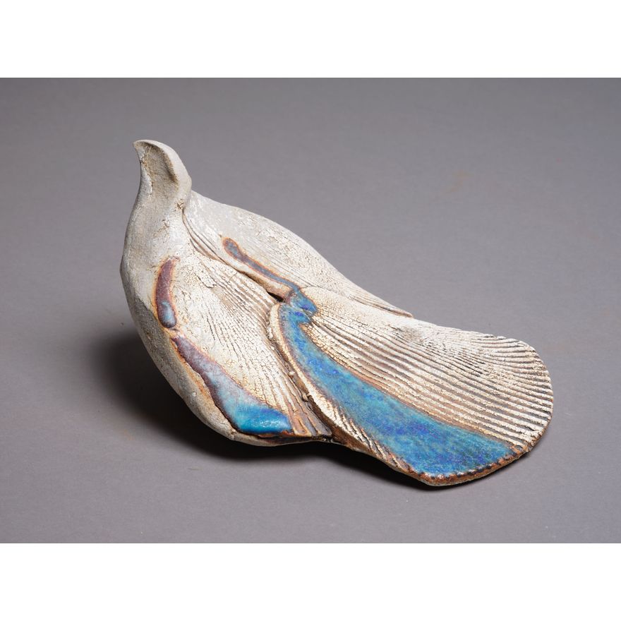 Lyndsay Bedogni - Dove