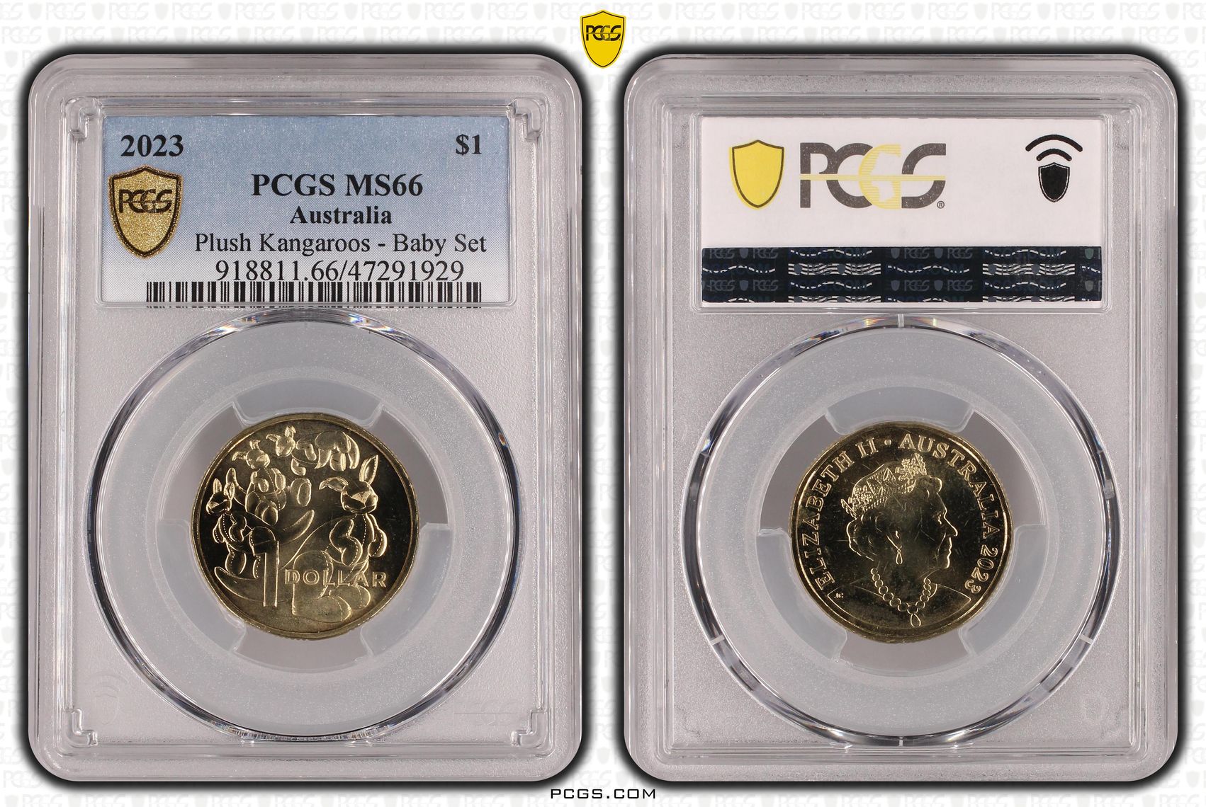 Plush Kangaroos - Baby Set, One Dollar, 2023, PCGS MS 66
