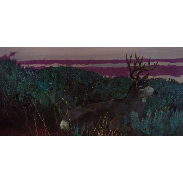 Bob Kuhn (1920-2007), Bedded Buck