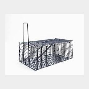 SourceDirect Humane Live Mouse Rat Trap Cage - Medium-51719/438 B2 S1