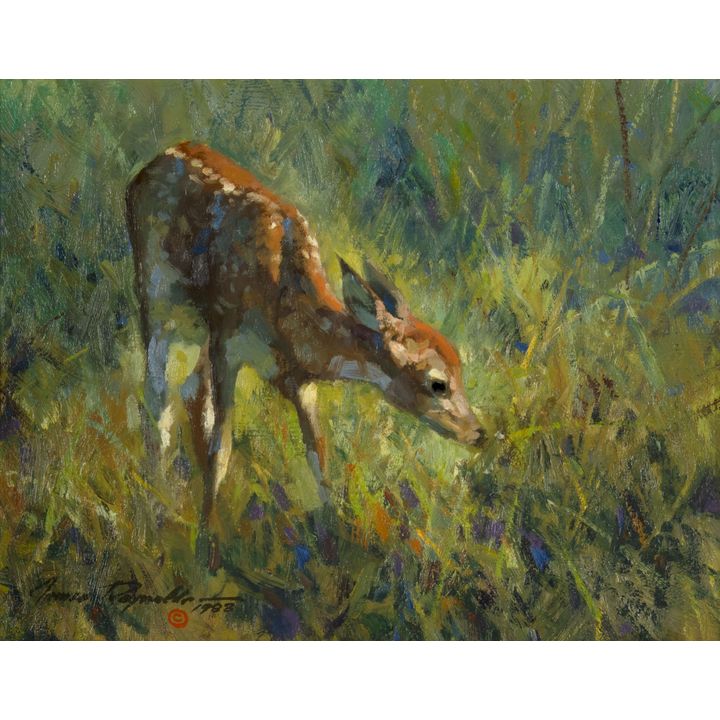 James Reynolds (1926-2010), Whitetail, 1983
