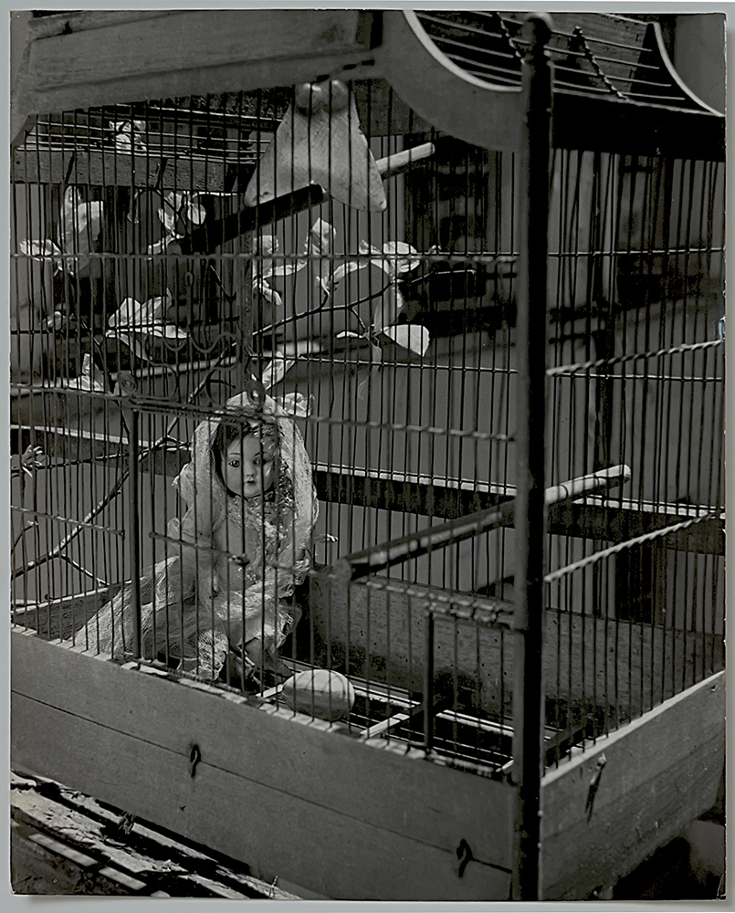 Image cover