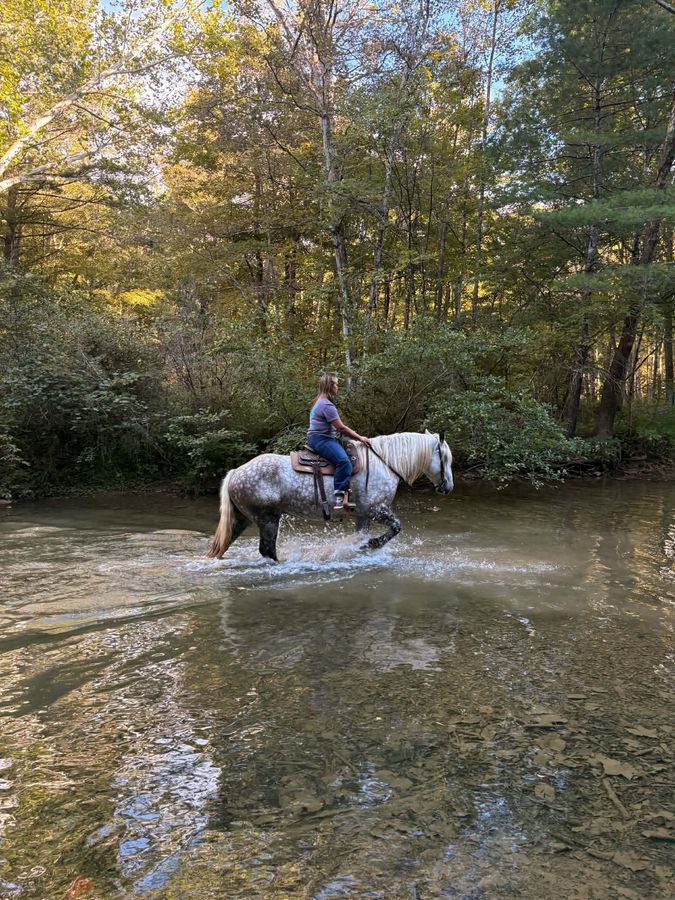 GOOSE | Horse Bid, LLC