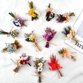 BASECA DRIED FLOWERS - MINI DRIED FLOWER BOUQUET WILDFLOWER DECOR, NATURAL FLOWERS FORGET ME NOT MYOSOTIS SYLVATICA BABYSBREATH, F