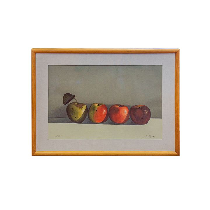 MARTHA CHAPA (NUEVO LEÓN, 1946 - )