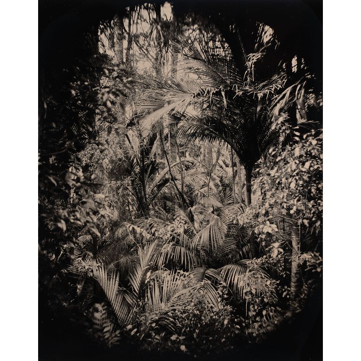 Ben Cauchi 'A view of a claustrophobic paradise'