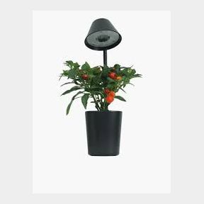 51704/889 Urban Nano Indoor Planter with Desk Lamp - Black Bcode 712221816970 B2 (S8)