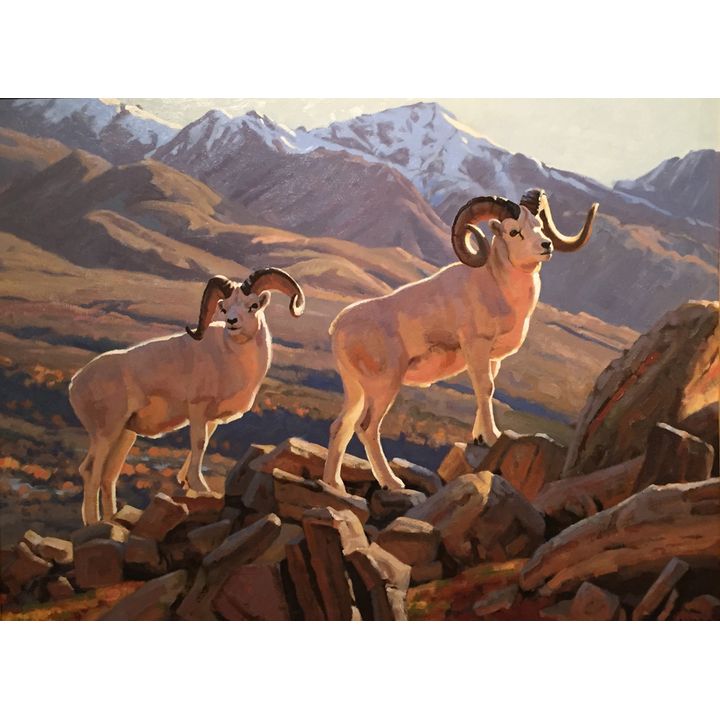 Dave Wade (1952- ), Denali Rams