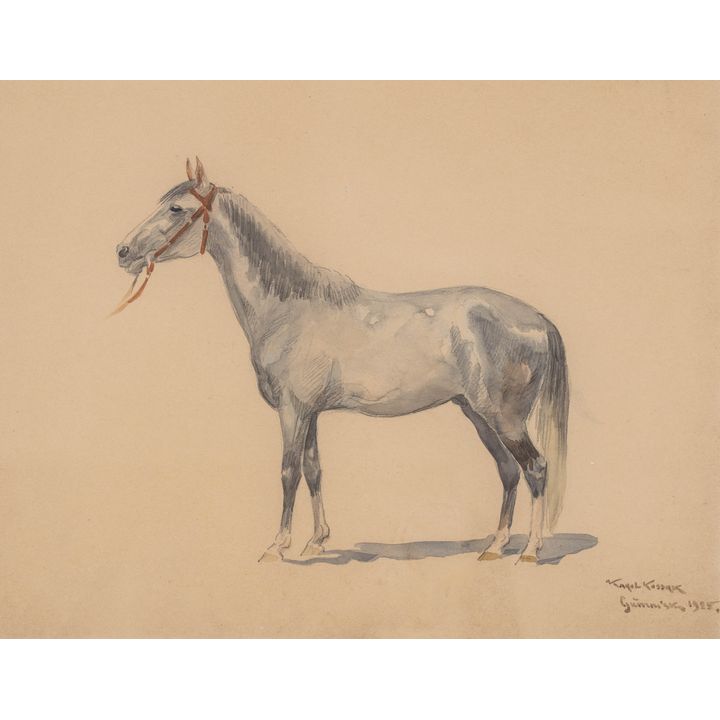 Karol Kossak | Koń, 1925 r.